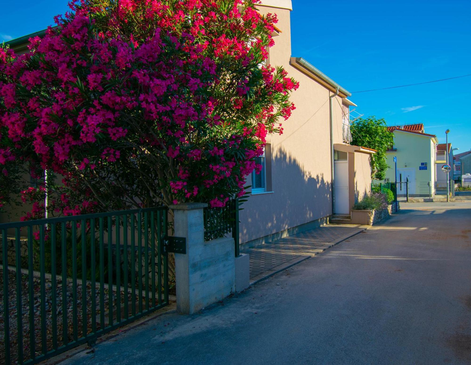 Apartments Anita Frane Vodice Kültér fotó